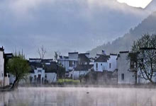 上海后花园，体验自然田园风光